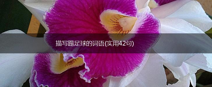 描写踢足球的词语(实用42句),第1张