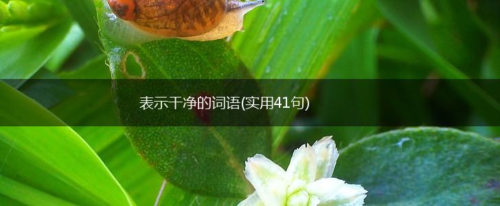 表示干净的词语(实用41句),第1张