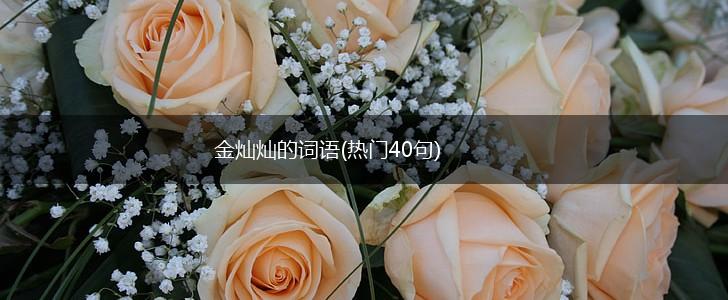 金灿灿的词语(热门40句),第1张