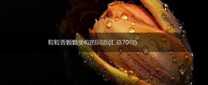 粒粒香颗颗类似的词语(汇总70句),第1张