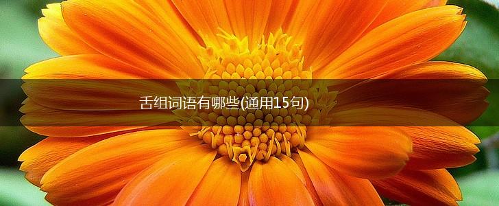 舌组词语有哪些(通用15句),第1张