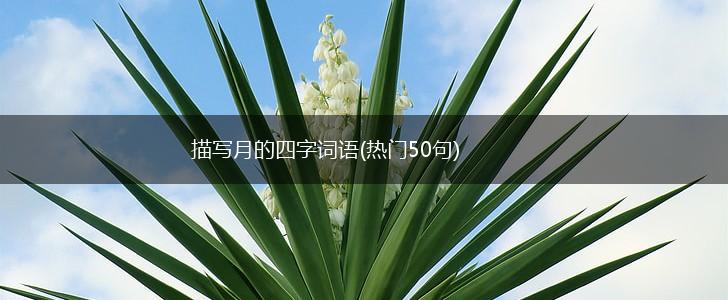 描写月的四字词语(热门50句),第1张