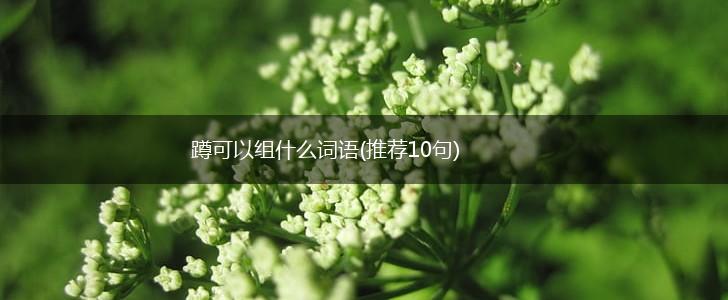 蹲可以组什么词语(推荐10句),第1张