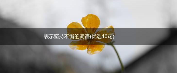 表示坚持不懈的词语(优选40句),第1张