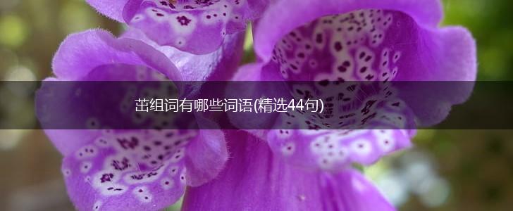 茁组词有哪些词语(精选44句),第1张