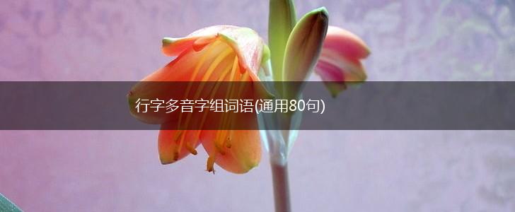 行字多音字组词语(通用80句),第1张