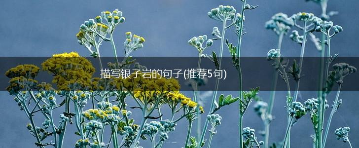 描写银子岩的句子(推荐5句),第1张
