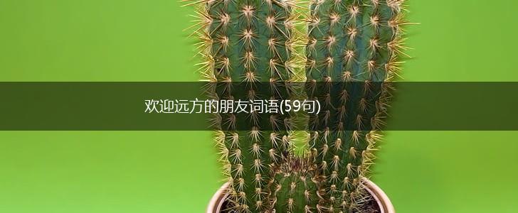 欢迎远方的朋友词语(59句),第1张