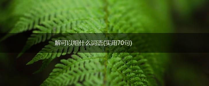 解可以组什么词语(实用70句),第1张