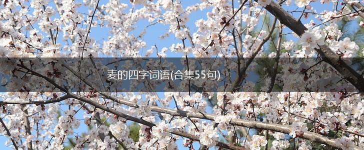 麦的四字词语(合集55句),第1张