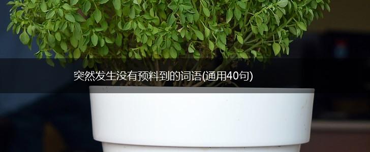 突然发生没有预料到的词语(通用40句),第1张