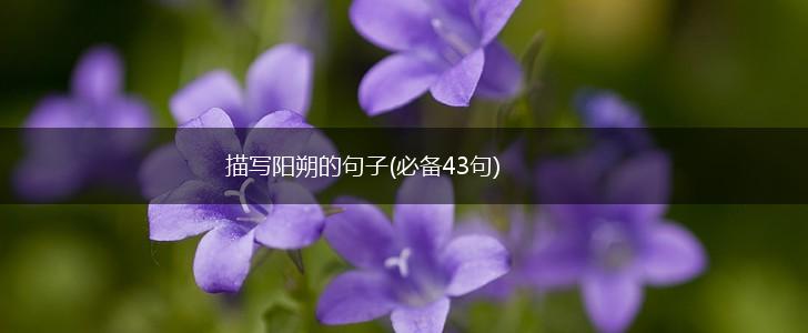 描写阳朔的句子(必备43句),第1张