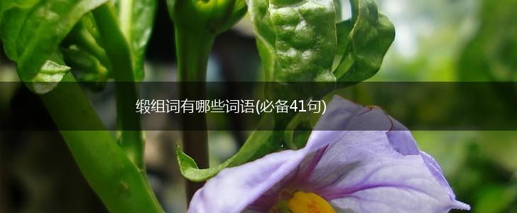 缎组词有哪些词语(必备41句),第1张