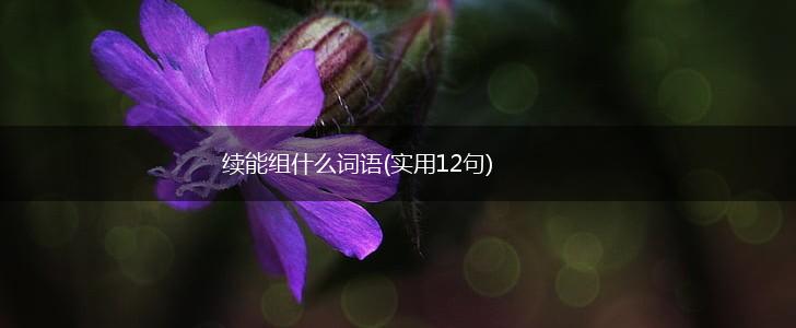 续能组什么词语(实用12句),第1张