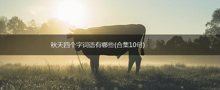 秋天四个字词语有哪些(合集10句),第1张