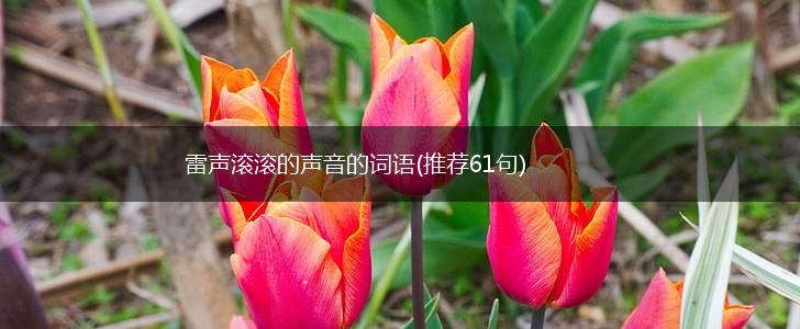 雷声滚滚的声音的词语(推荐61句),第1张