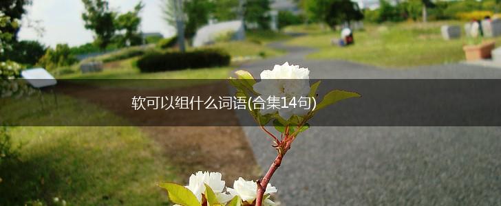 软可以组什么词语(合集14句),第1张