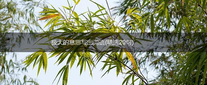 极大的意思写出词语(精选20句),第1张