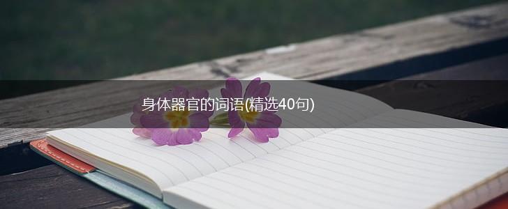 身体器官的词语(精选40句),第1张