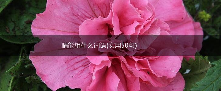 晴能组什么词语(实用50句),第1张