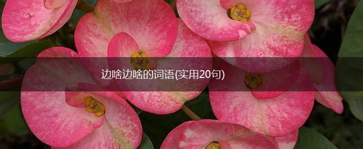 边啥边啥的词语(实用20句),第1张
