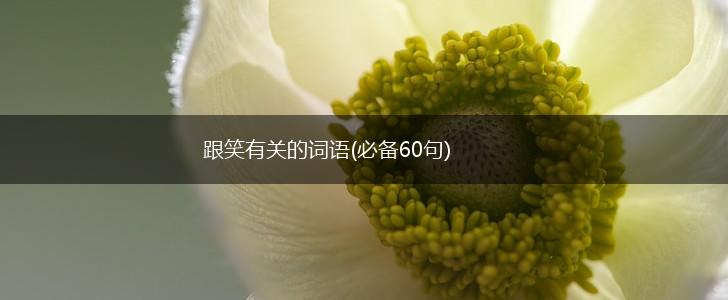 跟笑有关的词语(必备60句),第1张