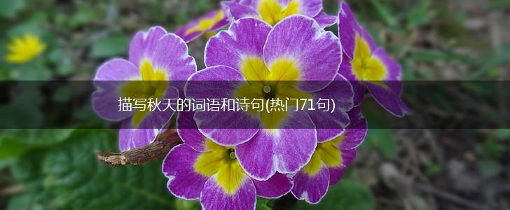 描写秋天的词语和诗句(热门71句),第1张