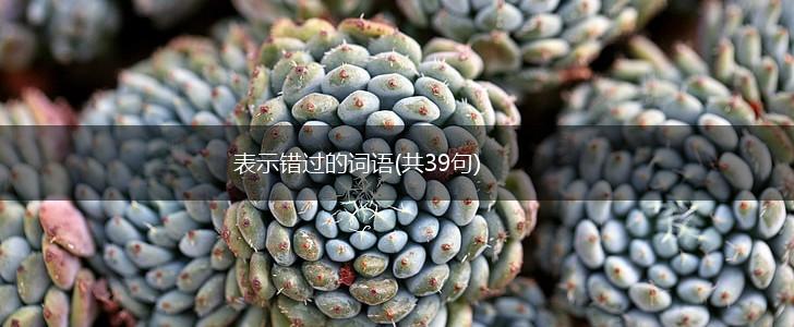 表示错过的词语(共39句),第1张