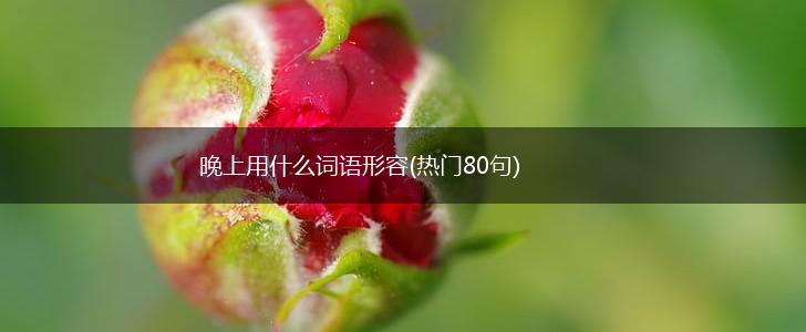 晚上用什么词语形容(热门80句),第1张
