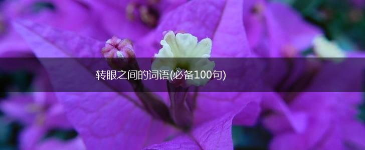 转眼之间的词语(必备100句),第1张
