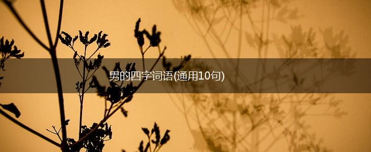 男的四字词语(通用10句),第1张
