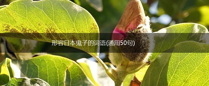 形容日本鬼子的词语(通用50句),第1张