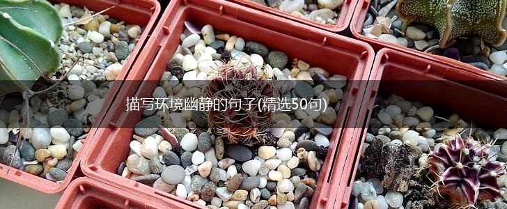 描写环境幽静的句子(精选50句),第1张