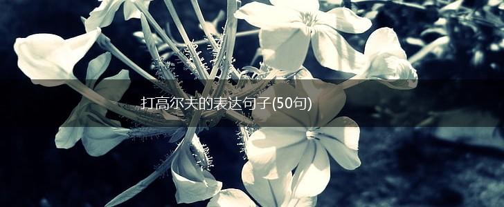 打高尔夫的表达句子(50句),第1张