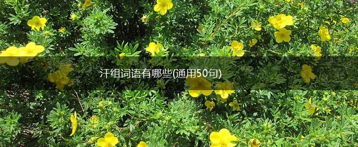 汗组词语有哪些(通用50句),第1张