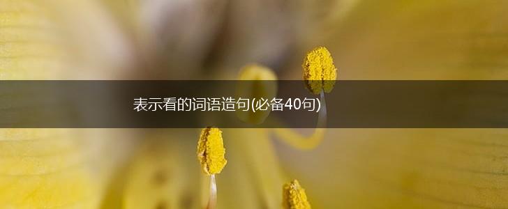 表示看的词语造句(必备40句),第1张