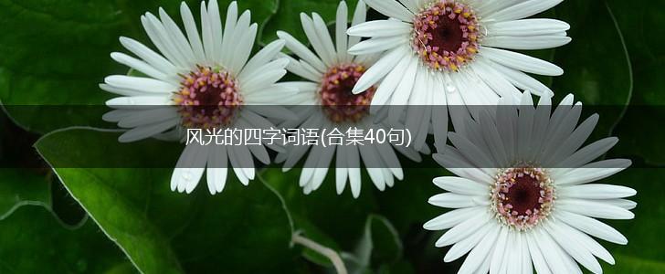 风光的四字词语(合集40句),第1张