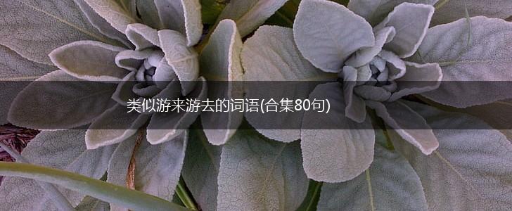 类似游来游去的词语(合集80句),第1张