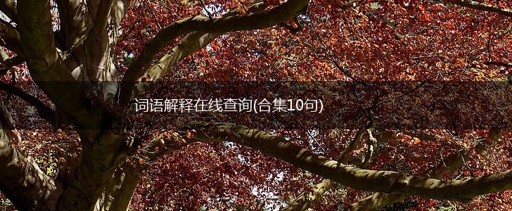 词语解释在线查询(合集10句),第1张