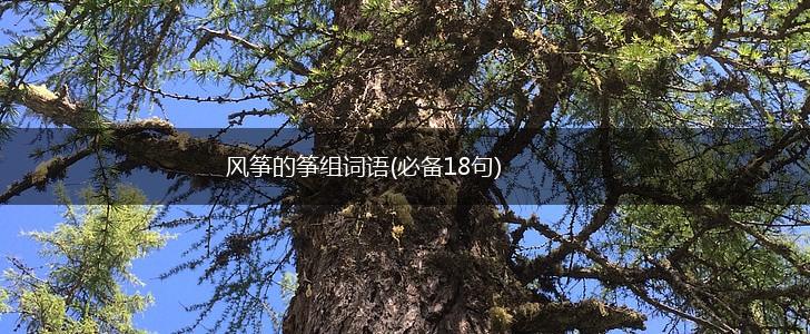 风筝的筝组词语(必备18句),第1张