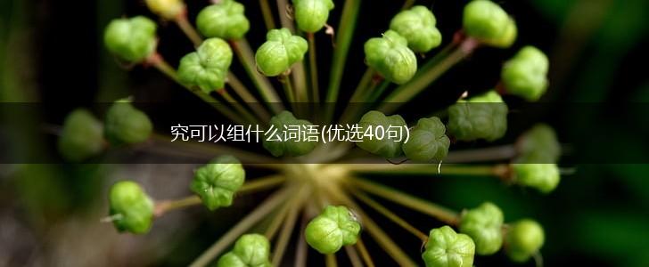究可以组什么词语(优选40句),第1张