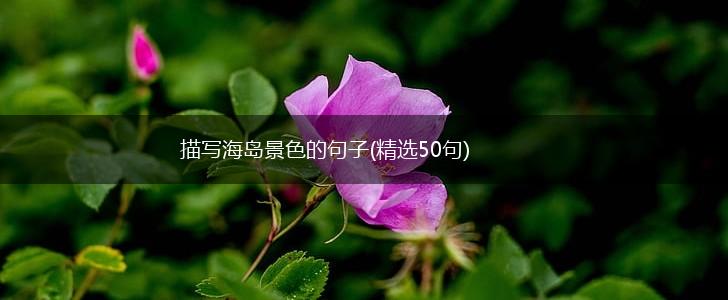 描写海岛景色的句子(精选50句),第1张