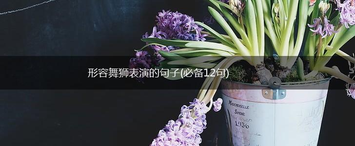 形容舞狮表演的句子(必备12句),第1张