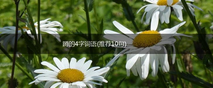 蹲的4字词语(推荐10句),第1张