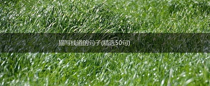 描写栈道的句子(精选50句),第1张