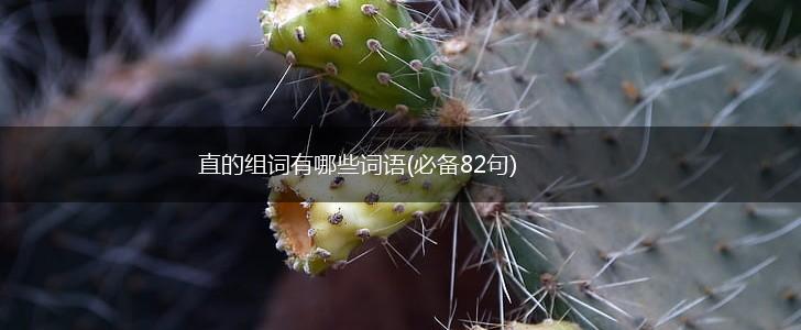 直的组词有哪些词语(必备82句),第1张