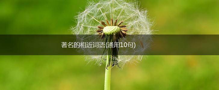 著名的相近词语(通用10句),第1张