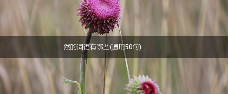 然的词语有哪些(通用50句),第1张