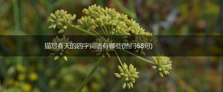 描写春天的四字词语有哪些(热门68句),第1张