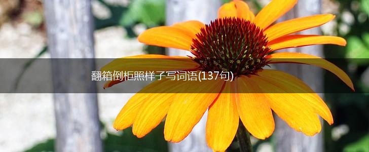翻箱倒柜照样子写词语(137句),第1张
